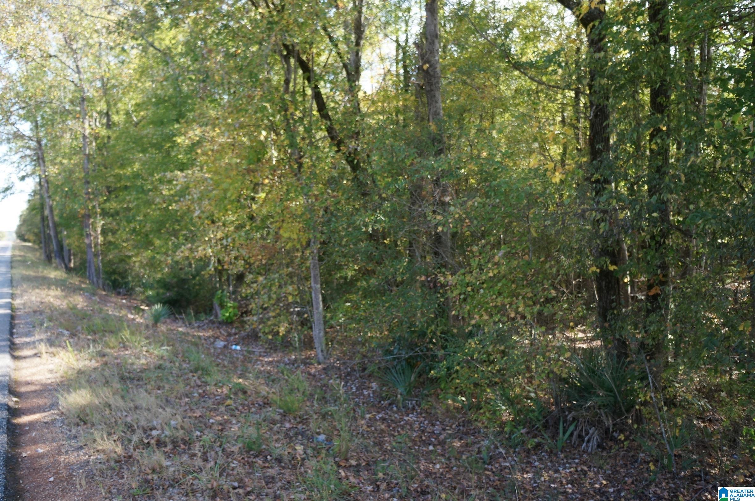 oo OLD FAYETTEVILLE ROAD 0