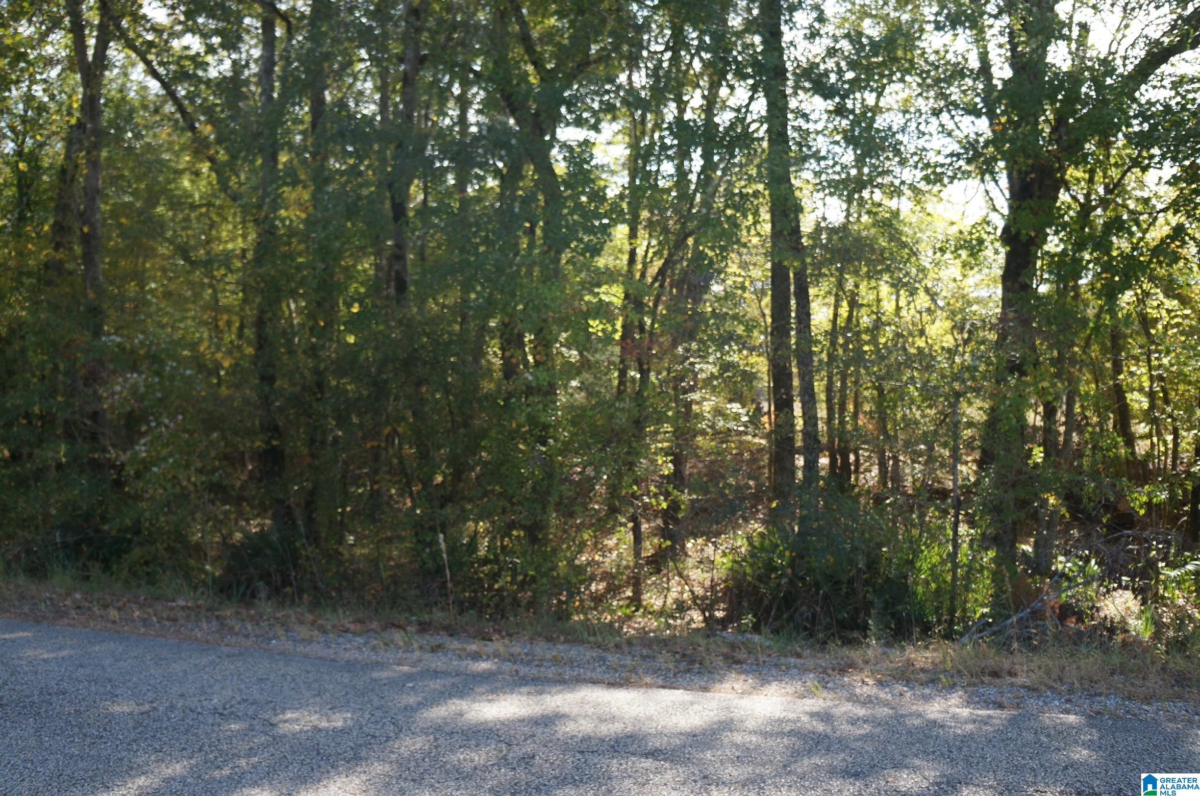 oo OLD FAYETTEVILLE ROAD 0