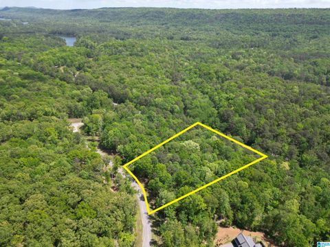 284 SOUTH OAK DRIVE 25 BIRMINGHAM AL 35242