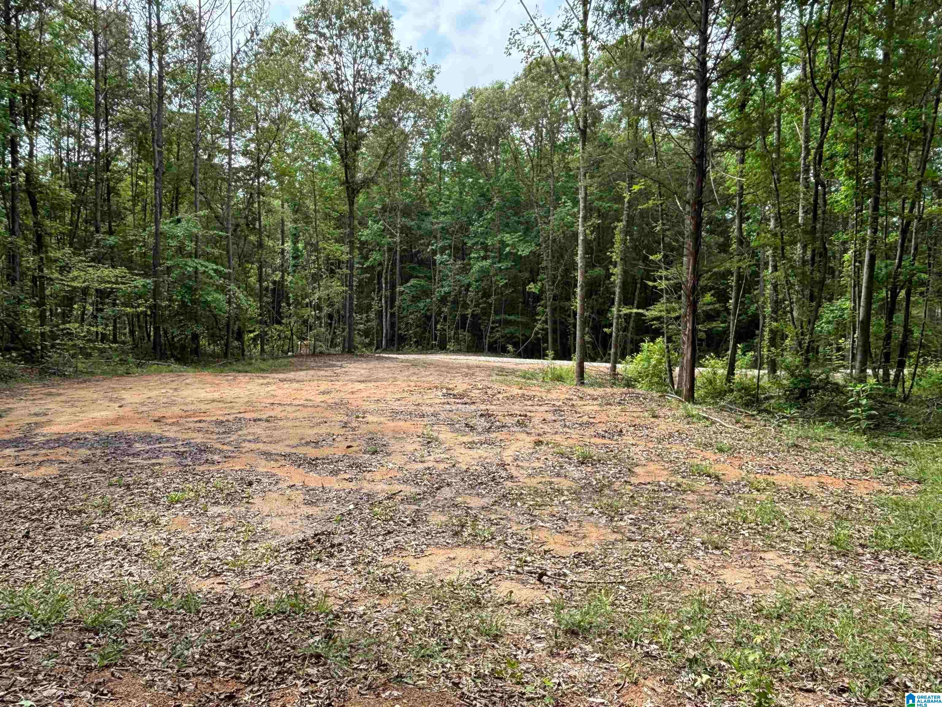 Tract 2 343 COUNTY ROAD 892 Tract 2