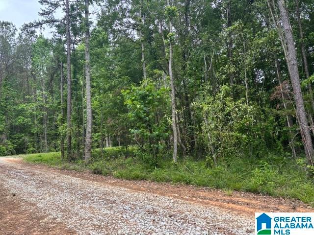 Tract 2 343 COUNTY ROAD 892 Tract 2