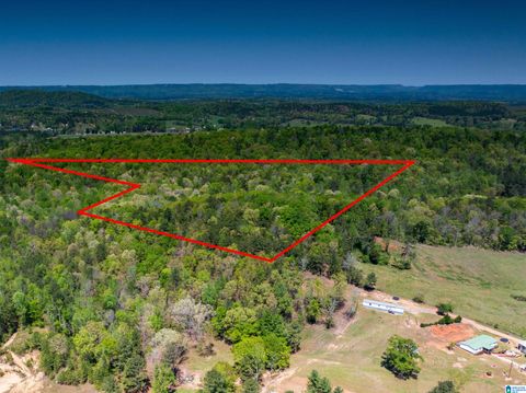 0 PIKE HILL ROAD 0 ASHVILLE AL 35953