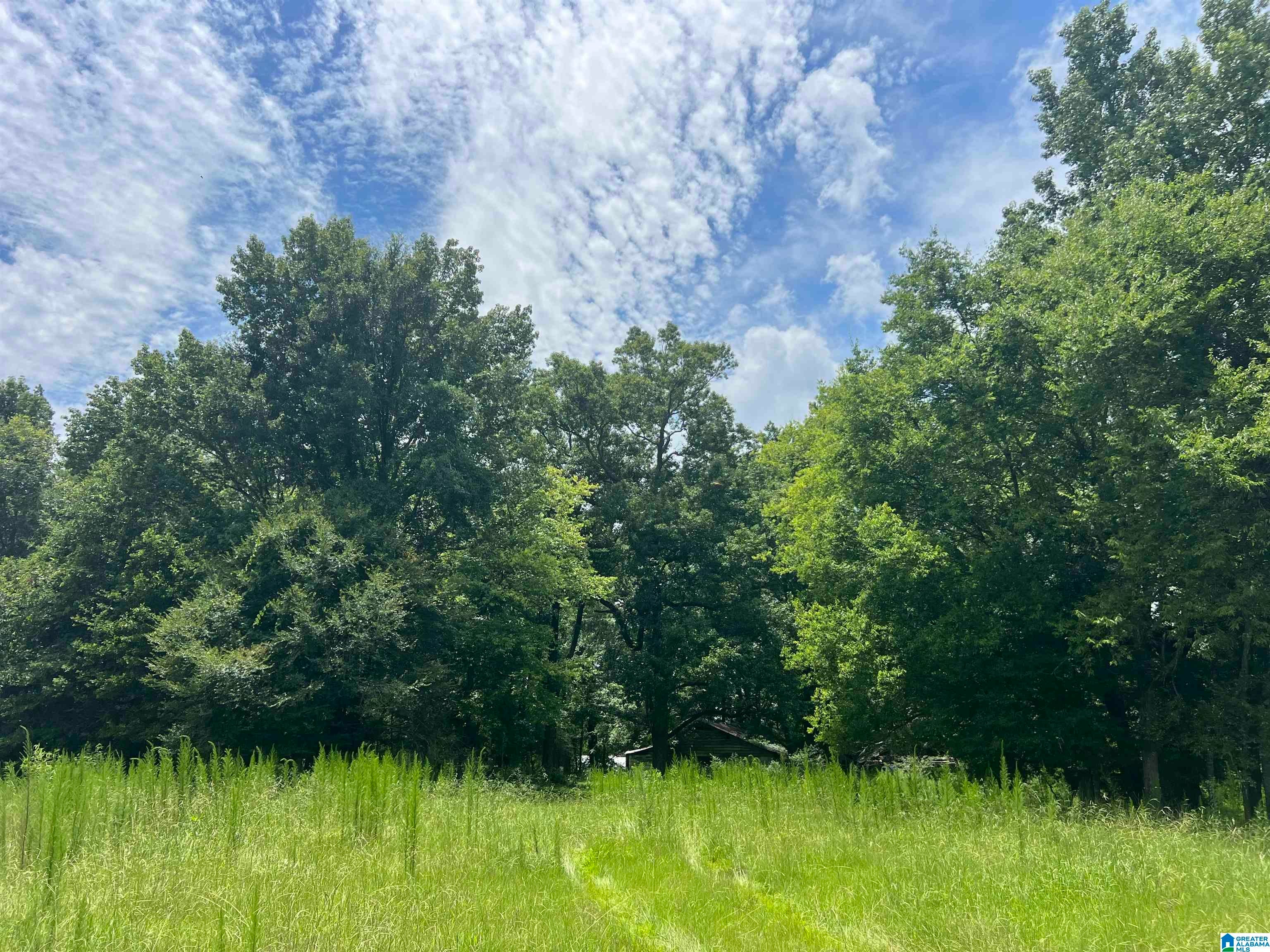 4540 RISER MILL ROAD 12