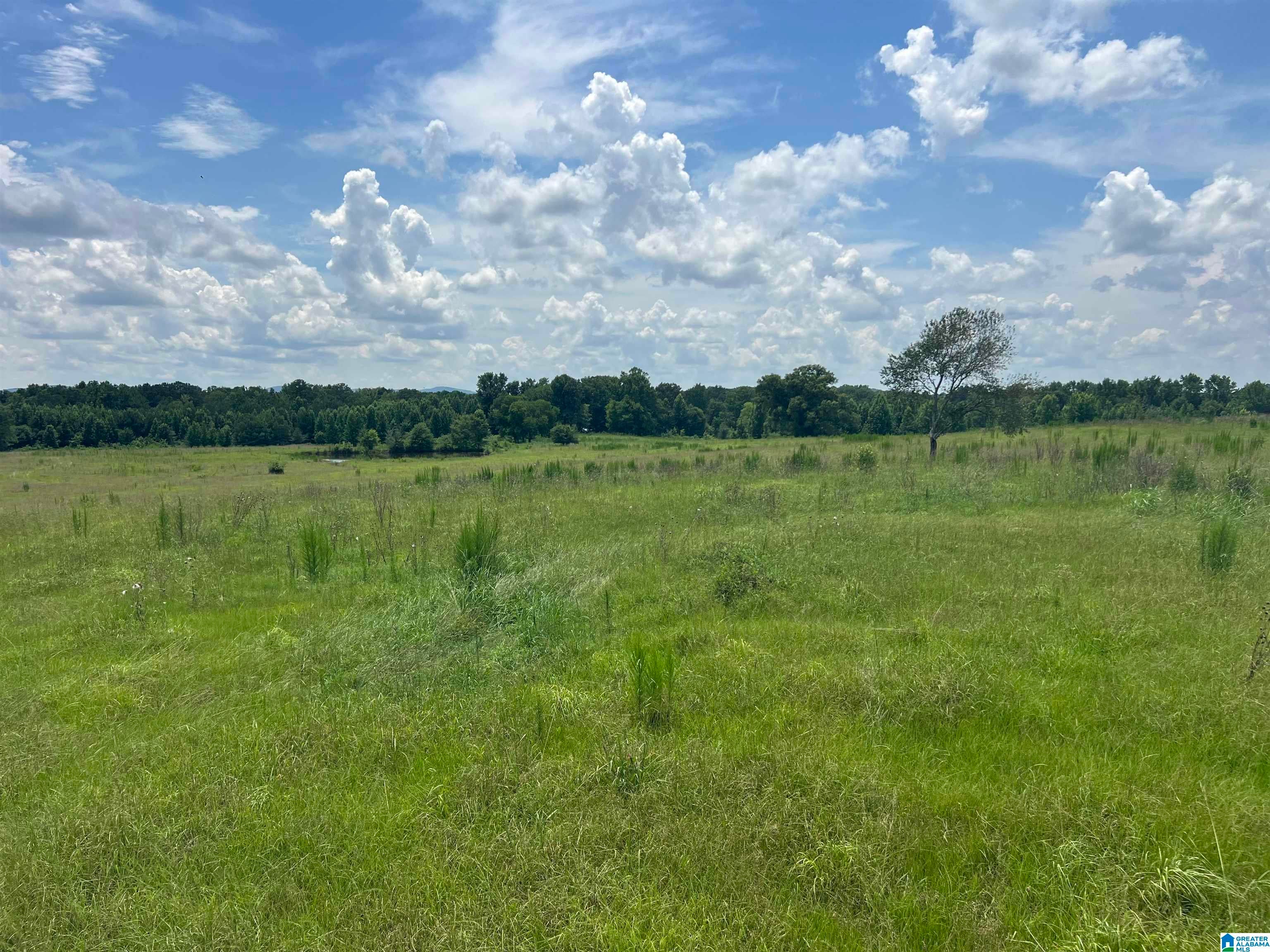 4540 RISER MILL ROAD 12