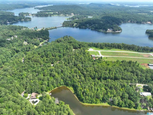 ADDRESS PRIVATE, ALPINE, AL 35014 - Image 18611ea7251830878edc7a14ea1dfd2a/4260868248