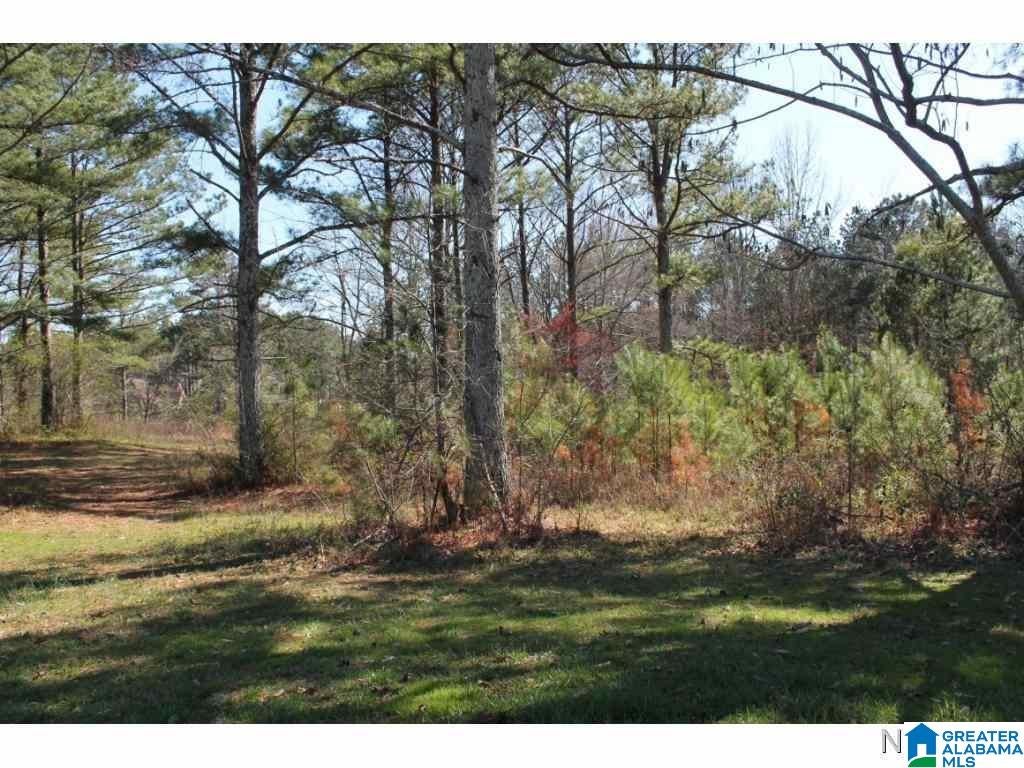 Lot 71 MONTCREST DRIVE 71