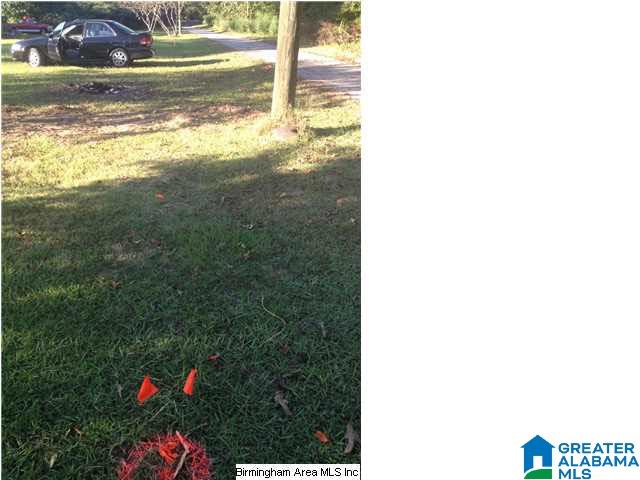 1173 STEPHENS ROAD 1