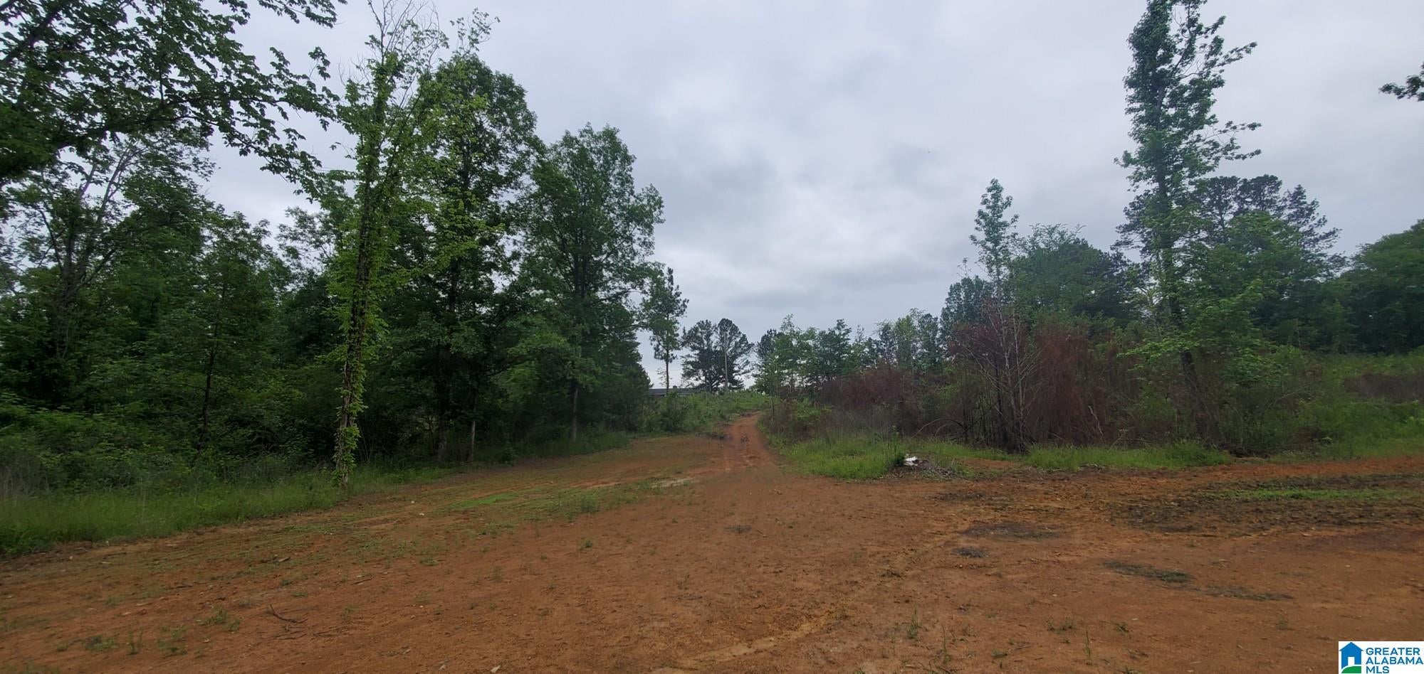 0 BAILEY SPRINGS ROAD 0