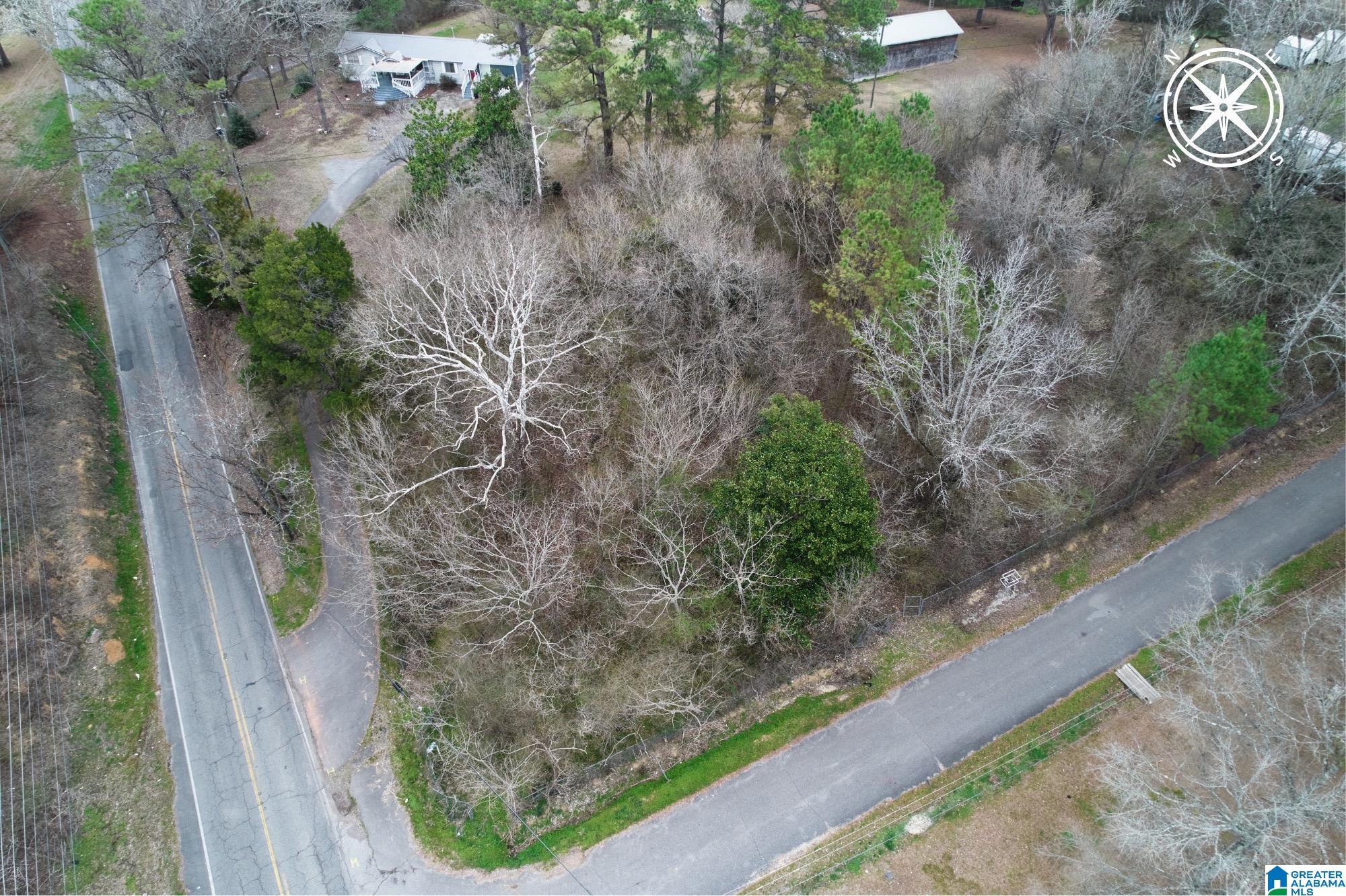 3130 SHANNON WENONAH ROAD Lot #11