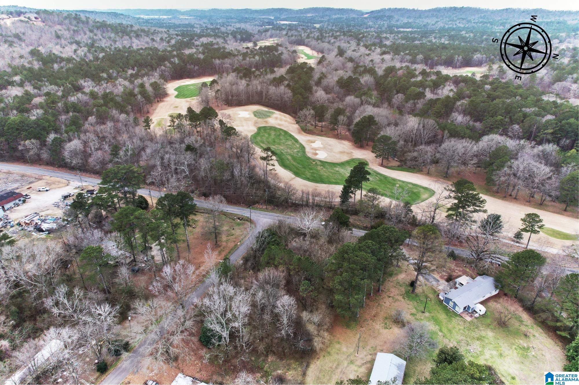 3130 SHANNON WENONAH ROAD Lot #11