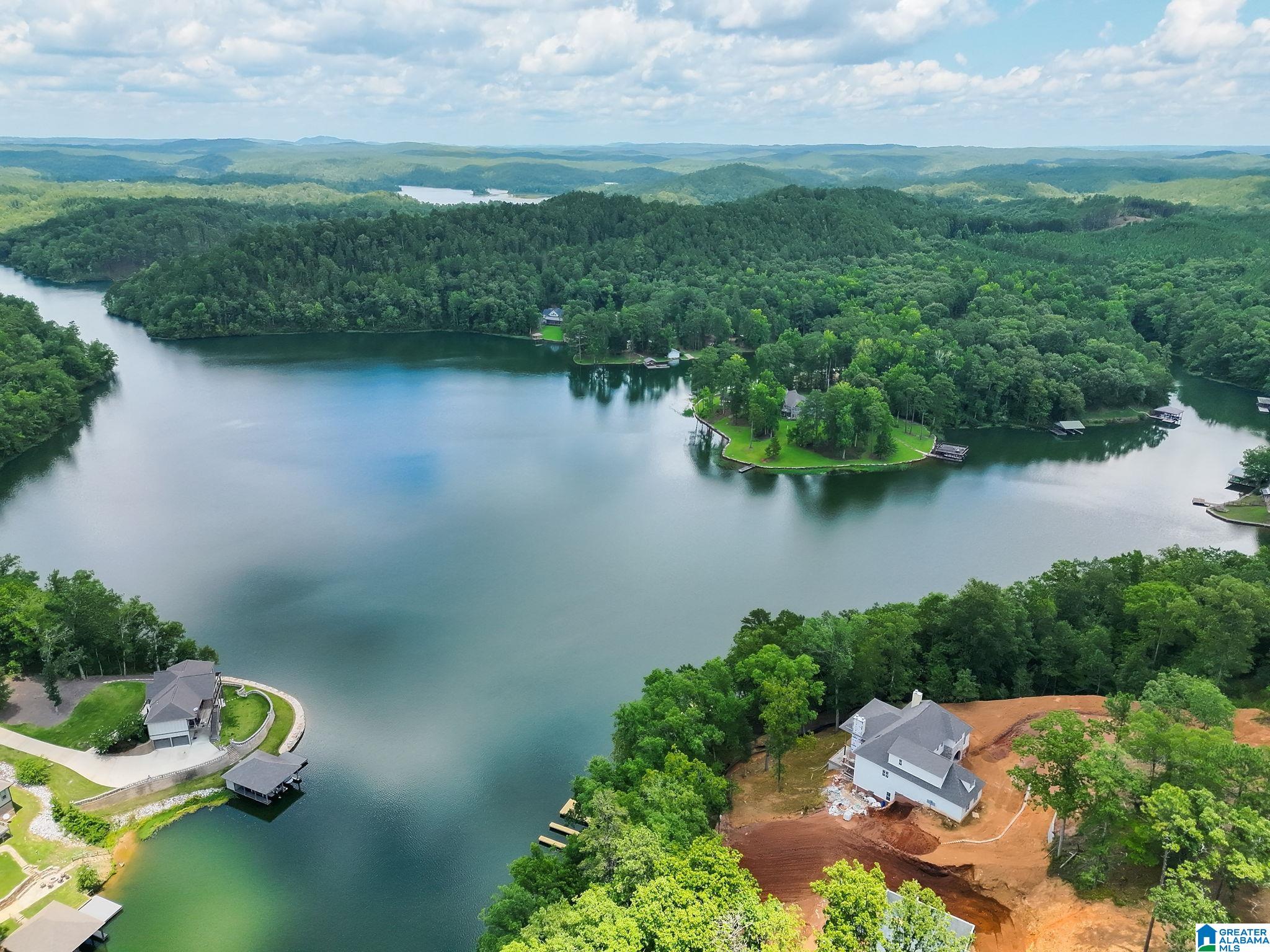 Photo 1 of 23 — 0 PRESERVE CIRCLE Lot 1, ROCKFORD, AL 35136