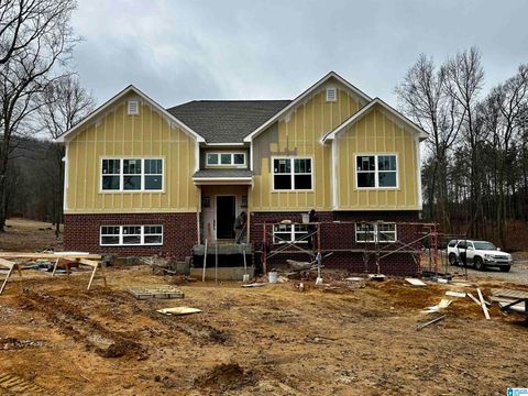 1027 OAK VALLEY DRIVE LEEDS AL 35094