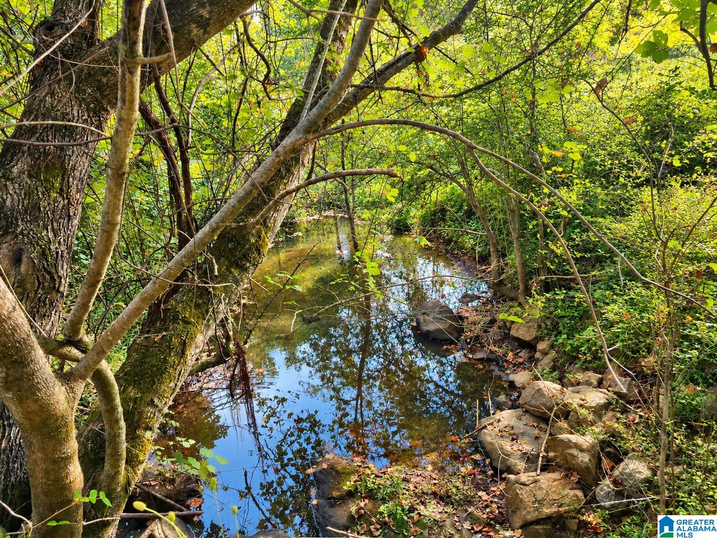 140 COUNTY ROAD 662