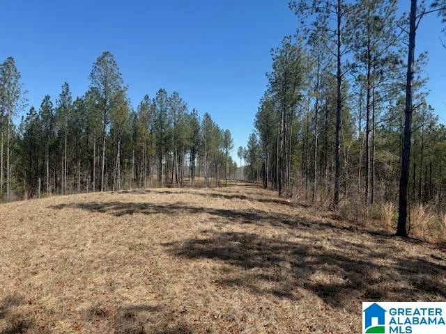 PATE ROAD Lot 8, 14.15± Ac