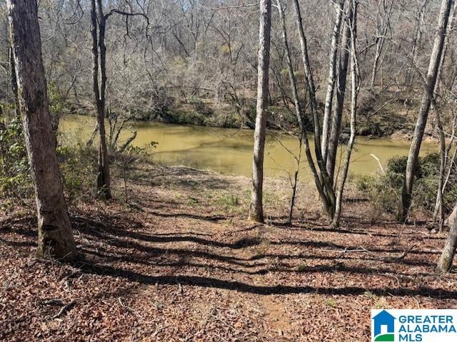 PATE ROAD Lot 8, 14.15± Ac