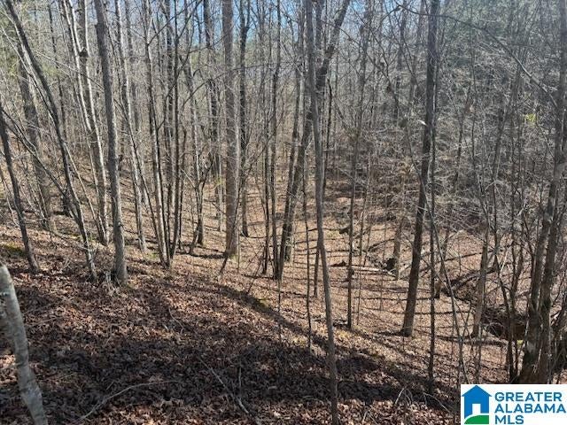 PATE ROAD Lot 8, 14.15± Ac