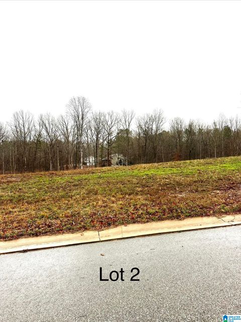 85 OLIVIA LANE 2 WOODSTOCK AL 35188