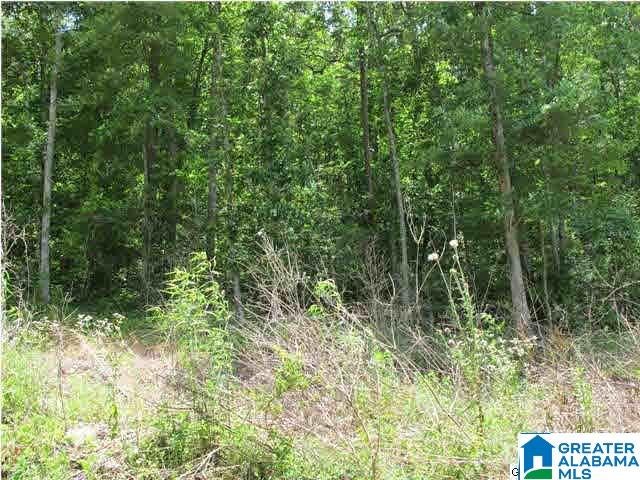 LOT # 24 MANDY DRIVE 24