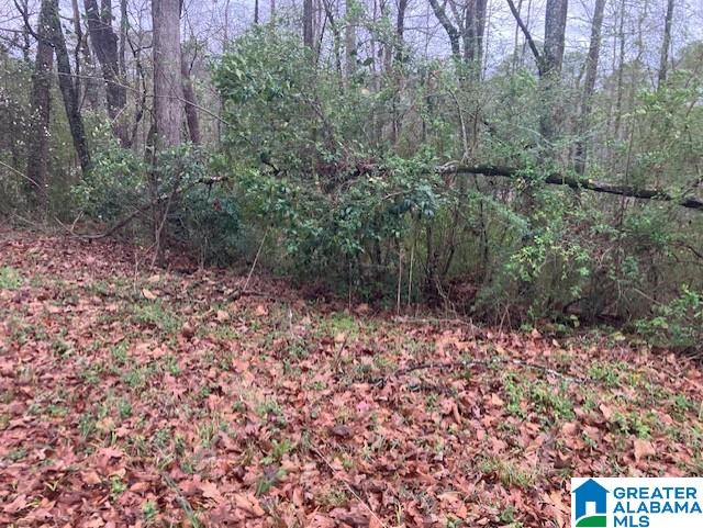 918 PINEHAVEN DRIVE 9