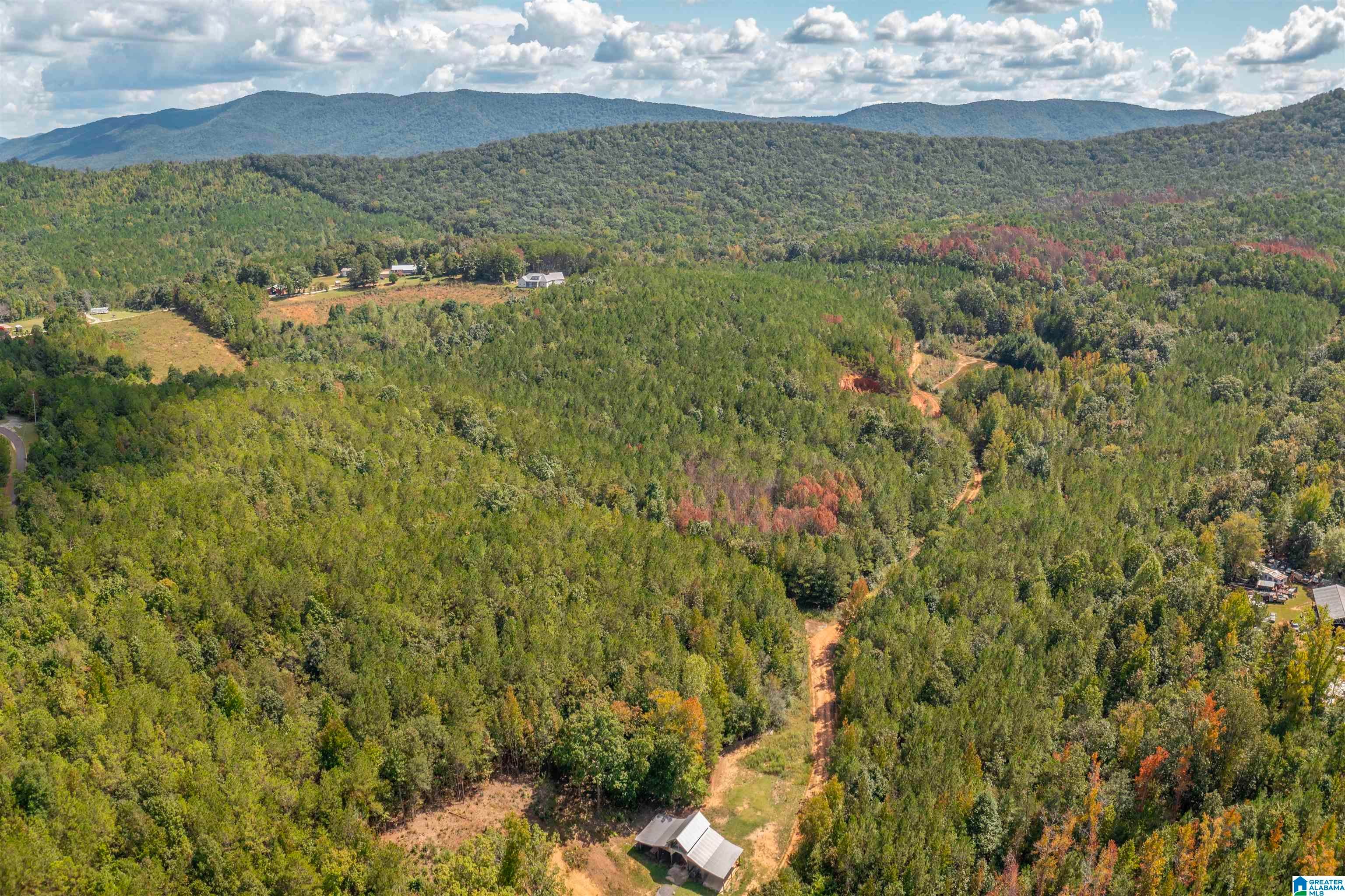 4 Acres FOREST EDGE LANE 19