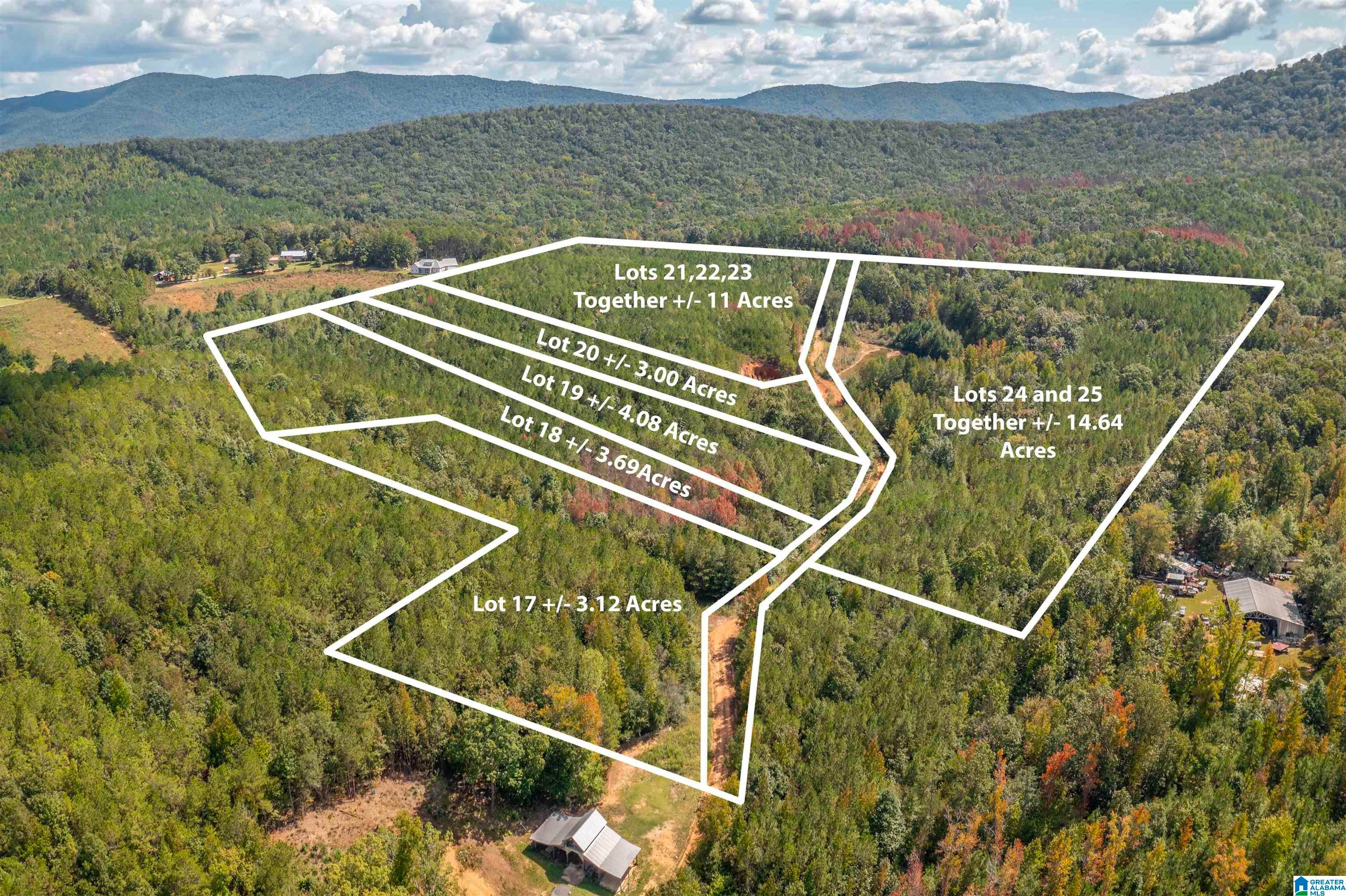 4 Acres FOREST EDGE LANE 19