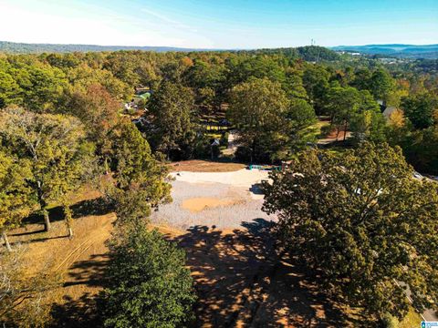 4612 DOLLY RIDGE ROAD 0 MOUNTAIN BROOK AL 35243