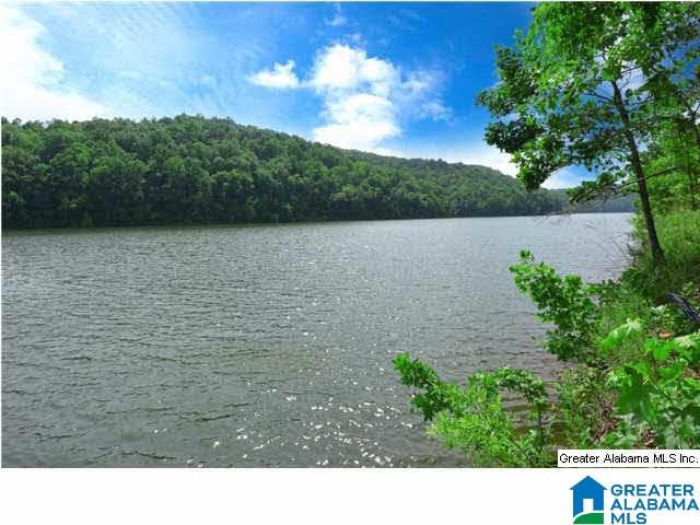 1 & 2 LAKE RIDGE LANE LOTS 1 & 2