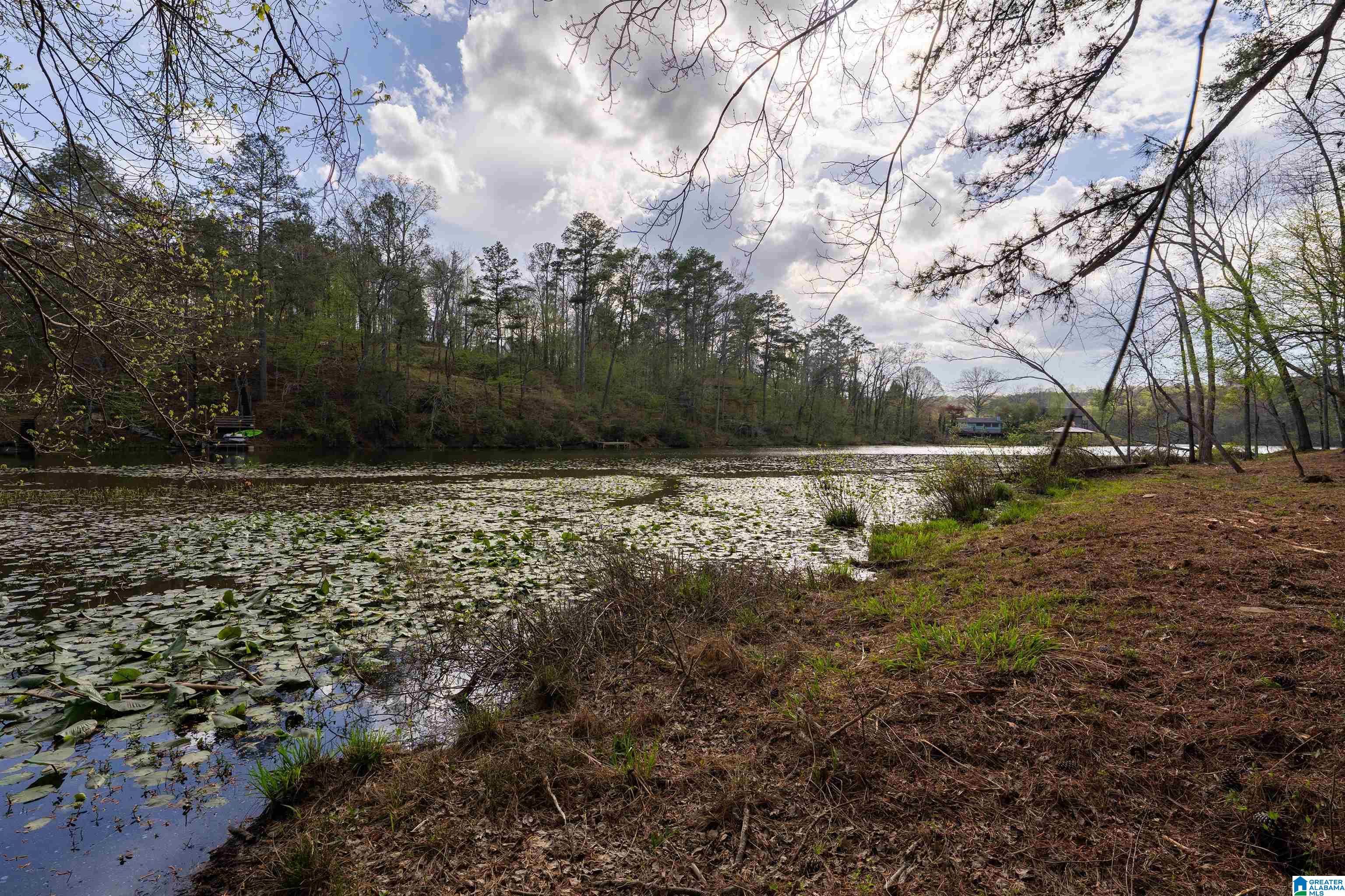 Photo 1 of 65 — 0 W LAKESHORE DRIVE 3-E, ONEONTA, AL 35121