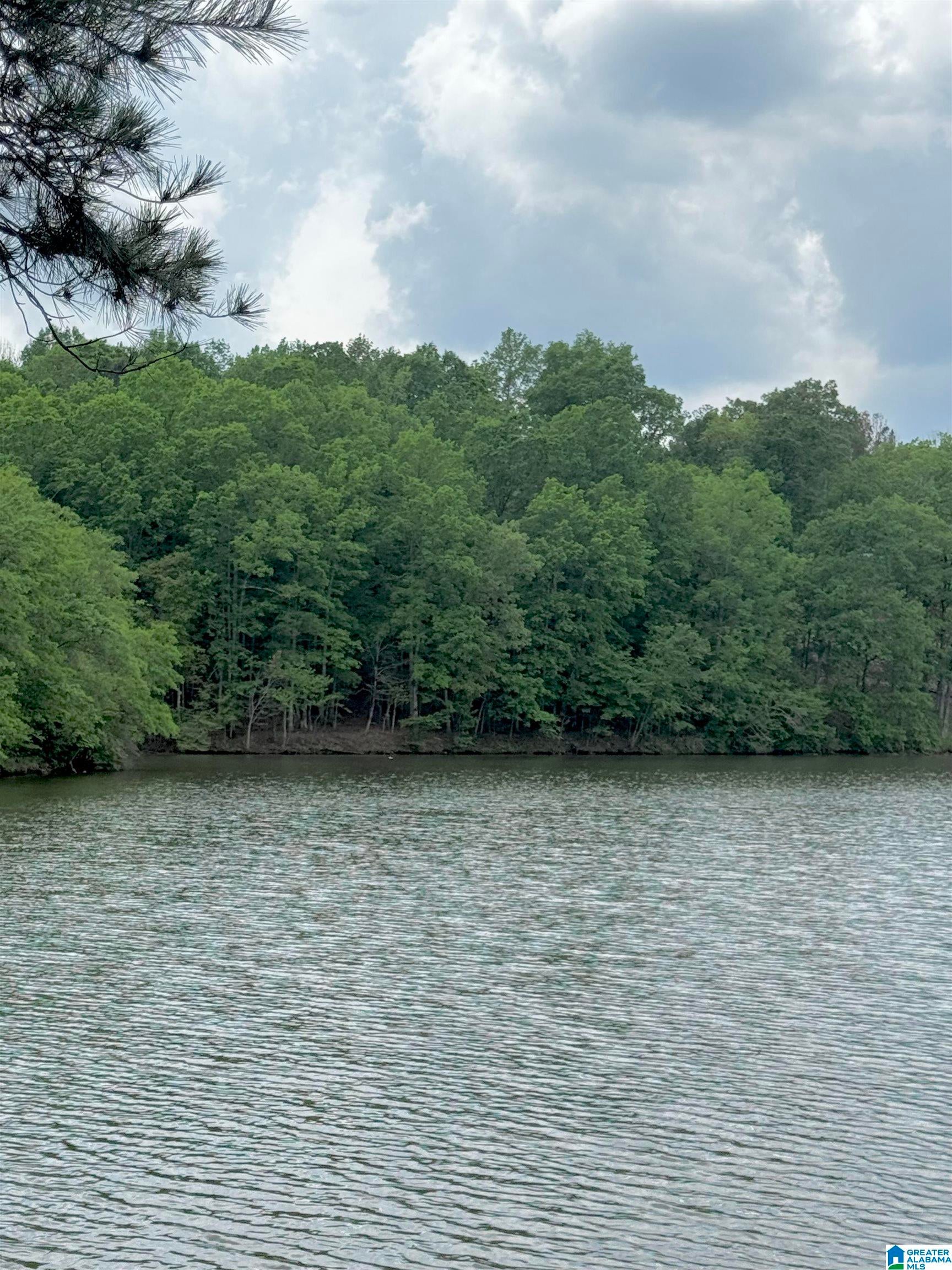 Lot 1 OLD HIGHWAY 431 1