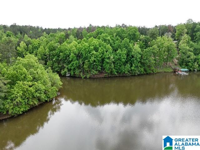 Lot 1 OLD HIGHWAY 431 1