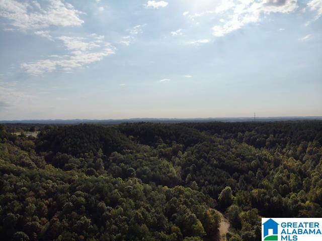 4092 BROOKSIDE DRIVE 1