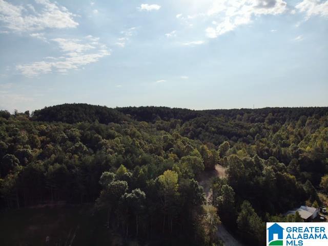 4092 BROOKSIDE DRIVE 1