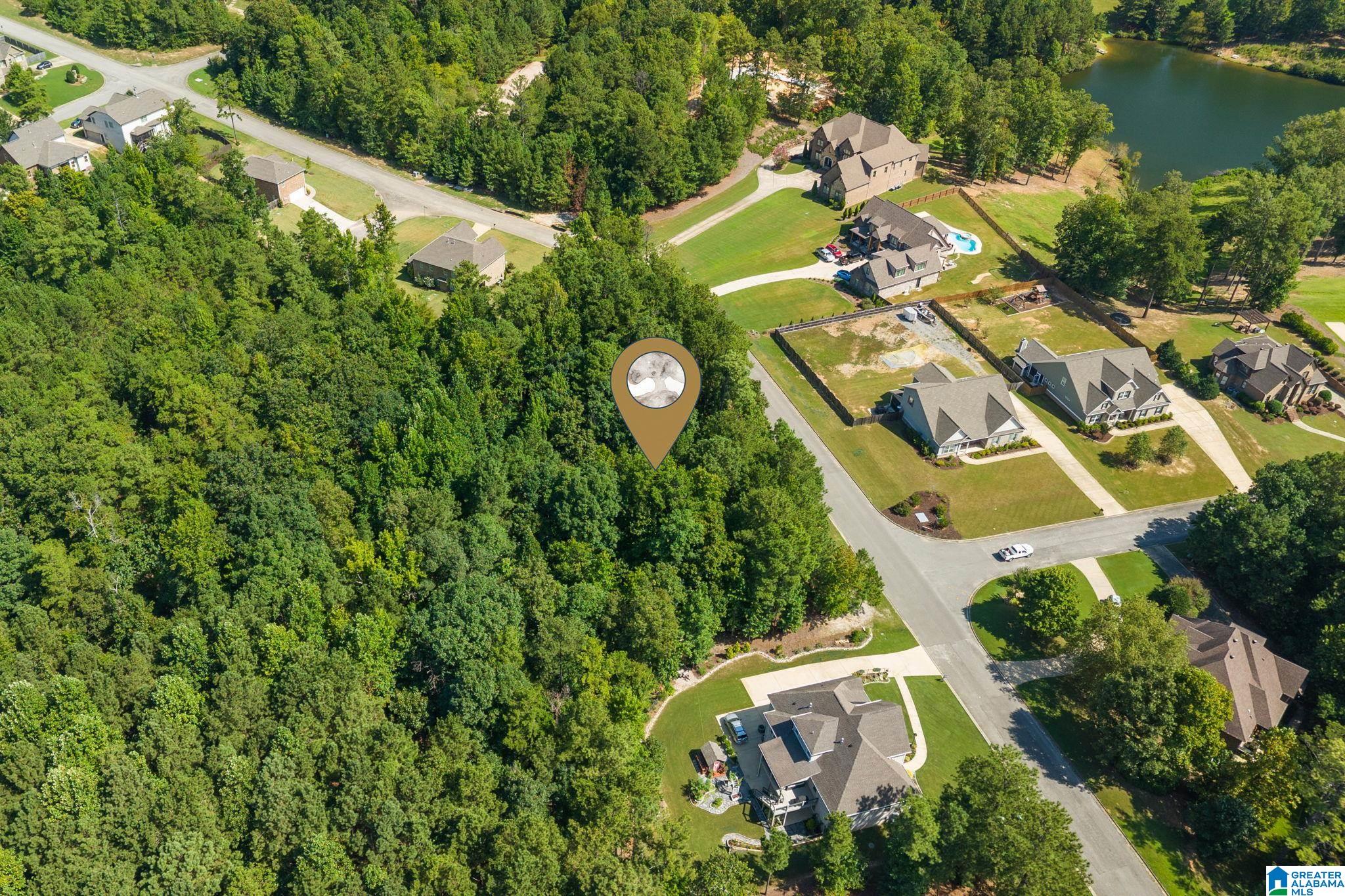 0 CARRINGTON LAKE PARKWAY 739 - Photo 2