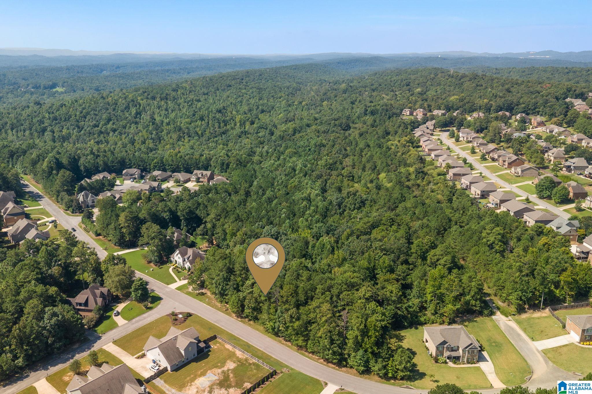 0 CARRINGTON LAKE PARKWAY 739