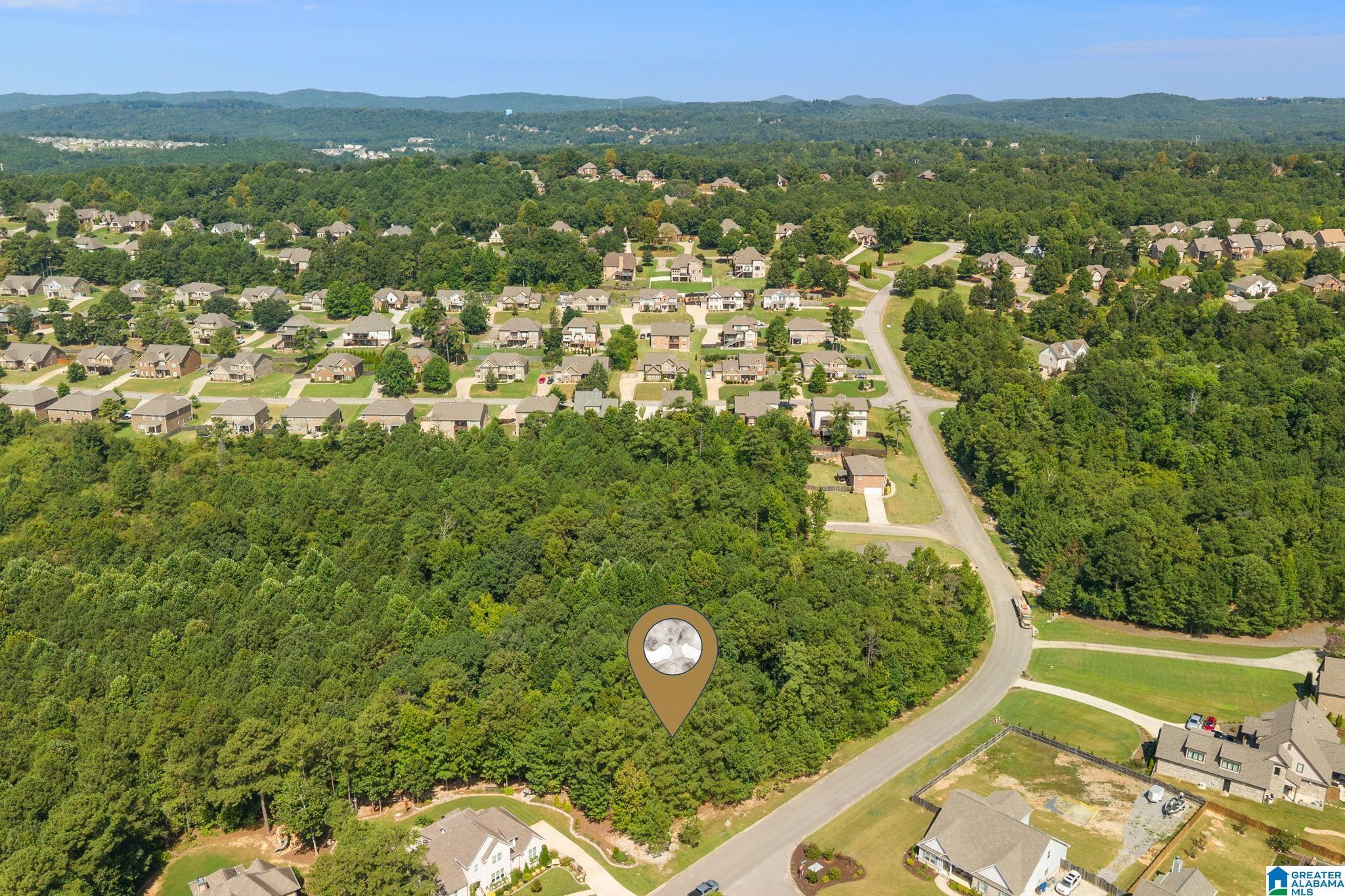 0 CARRINGTON LAKE PARKWAY 739 - Photo 4