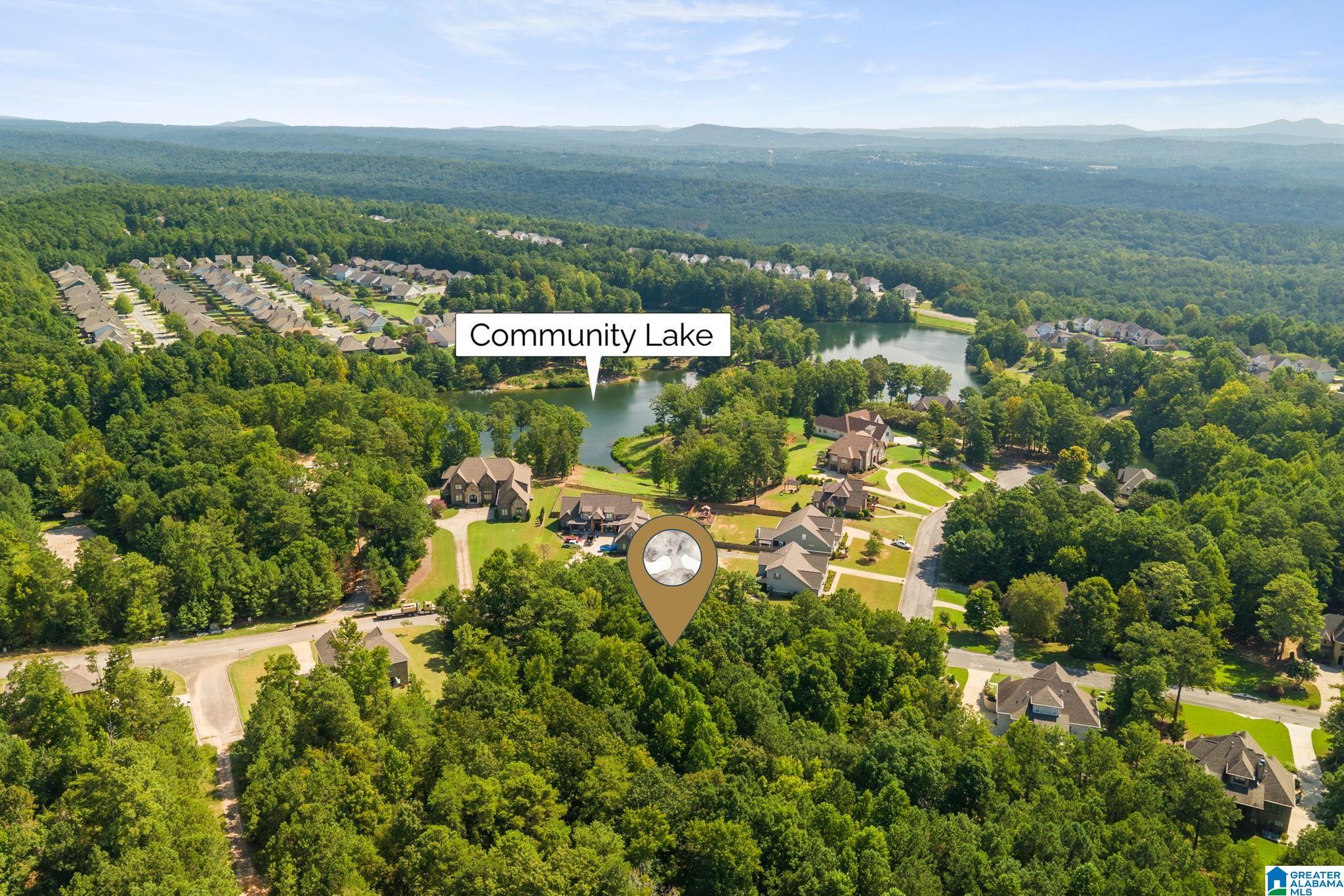0 CARRINGTON LAKE PARKWAY 739 - Photo 3