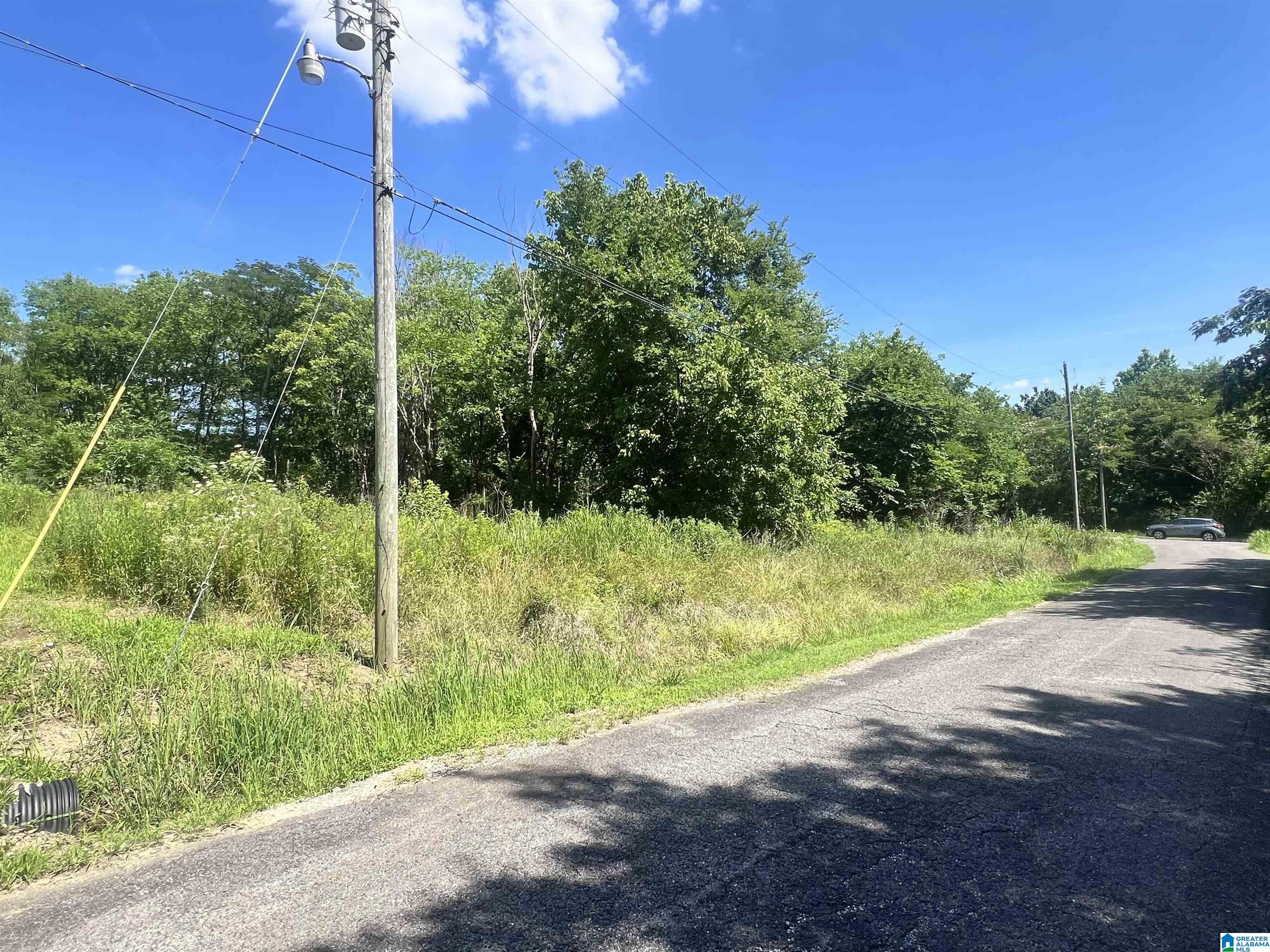 Photo 1 of 1 — 5812 NORWAY AVENUE W 17,18,19, BIRMINGHAM, AL 35224