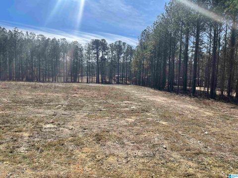 89 GOLDEN POND ROAD 9 ASHVILLE AL 35953