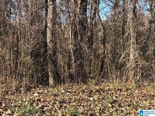 167 WILSON GLEN DR # 11, WILSONVILLE, AL 35186 - Image 1ca34780f197d5e7ebd14ad05eb8d810/3905687123