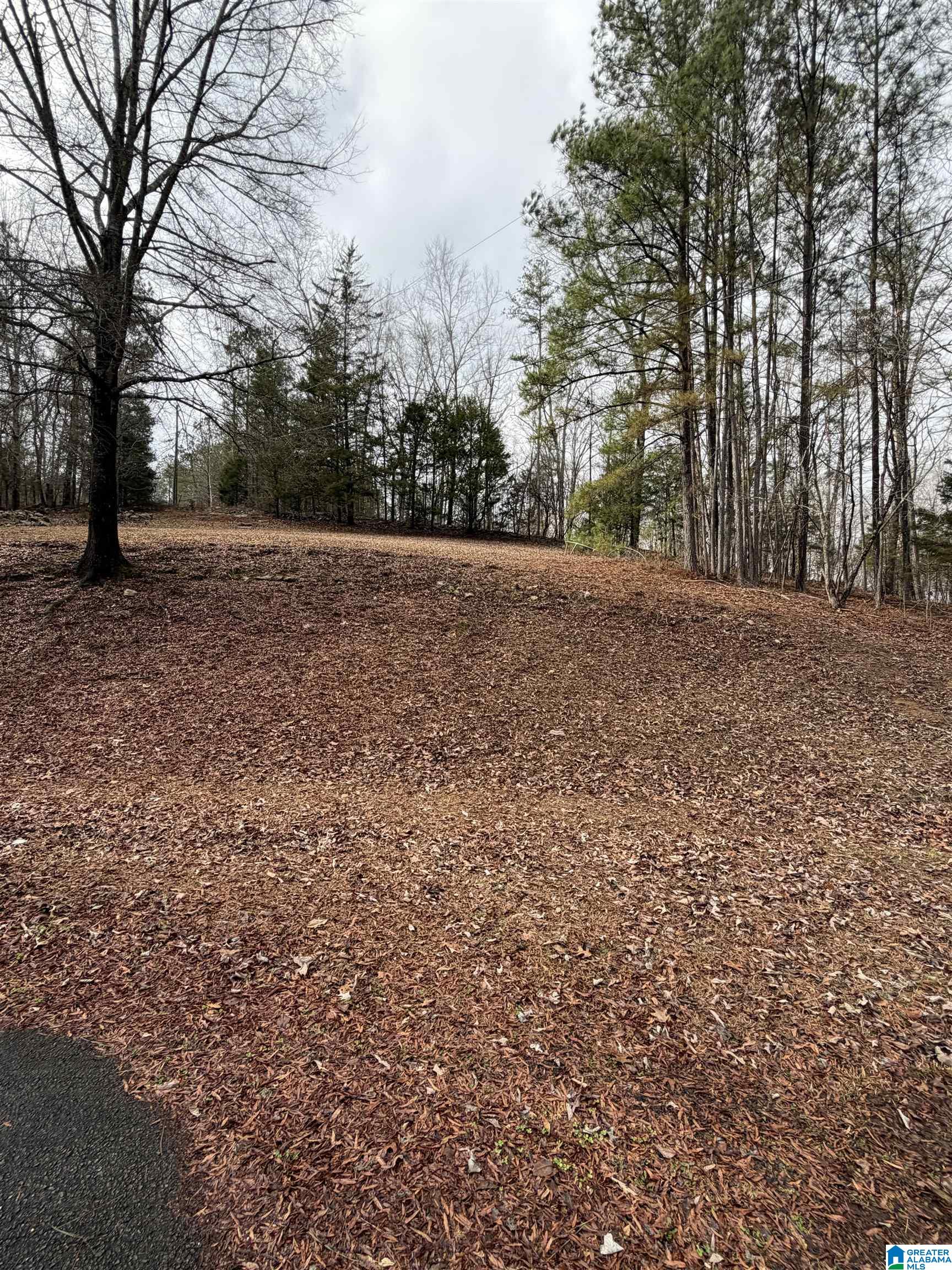 363 OAK RIDGE DRIVE 1