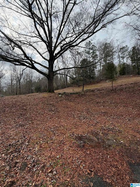 363 OAK RIDGE DRIVE 1 ONEONTA AL 35121