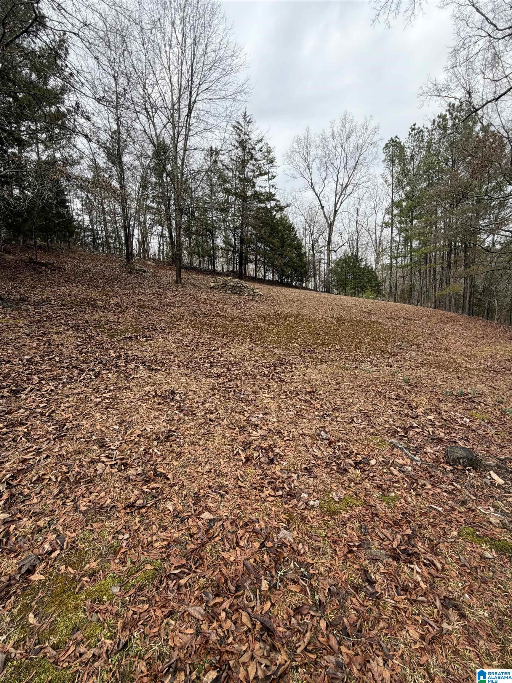 363 OAK RIDGE DRIVE 1