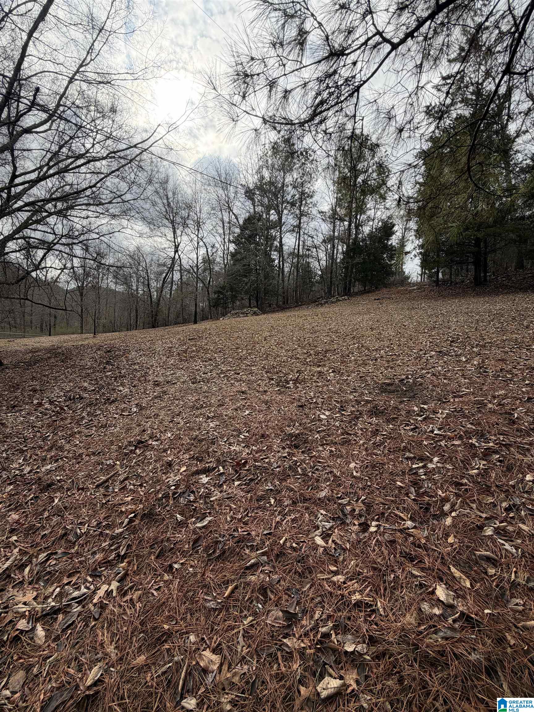 363 OAK RIDGE DRIVE 1