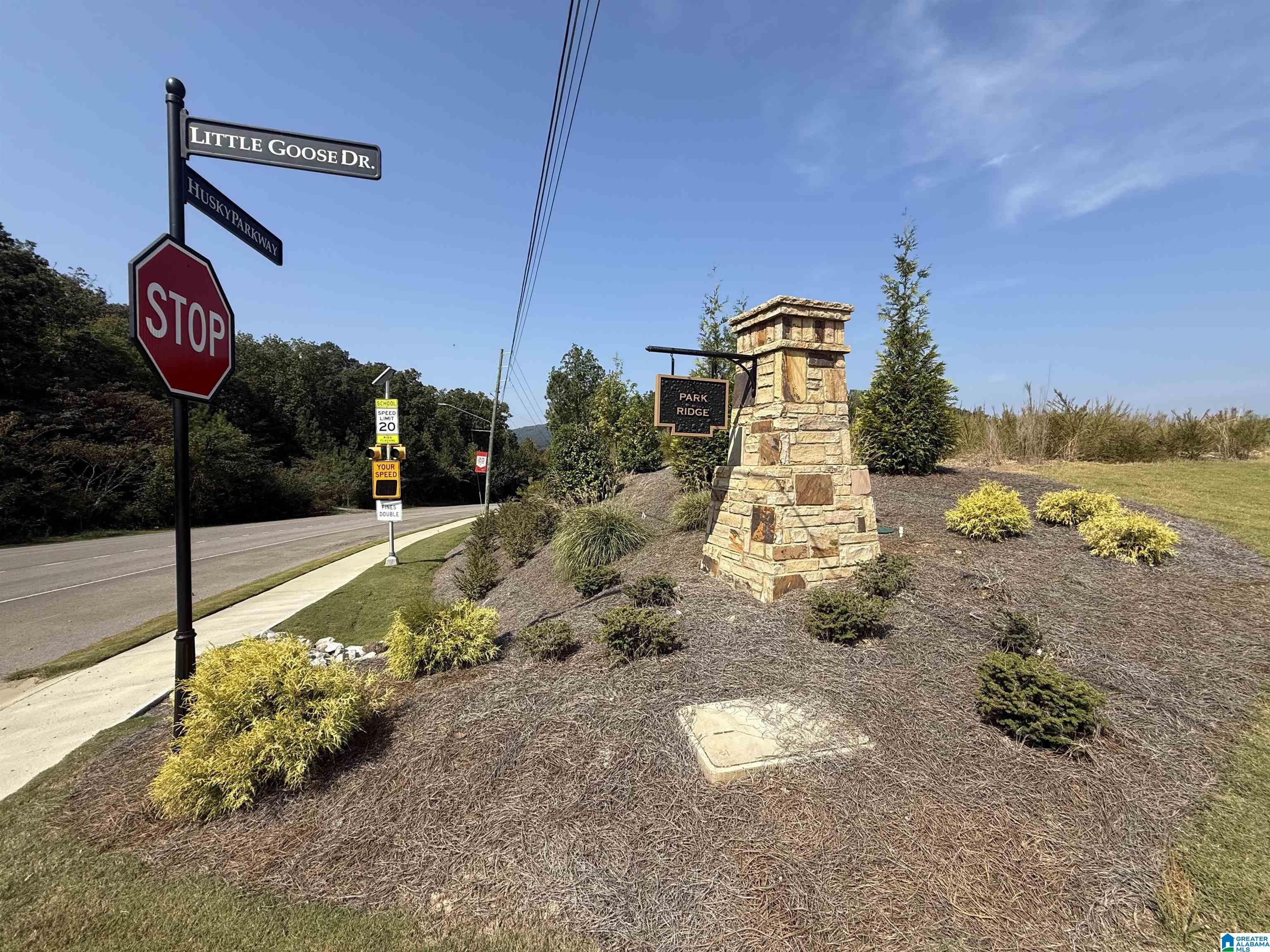 6581 LITTLE GOOSE DRIVE