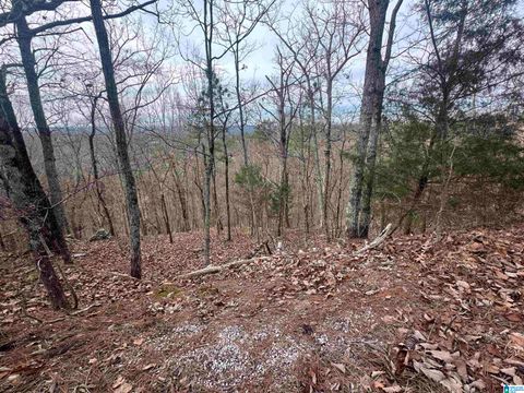 0 LONG LEAF TRAIL 1 WARRIOR AL 35180