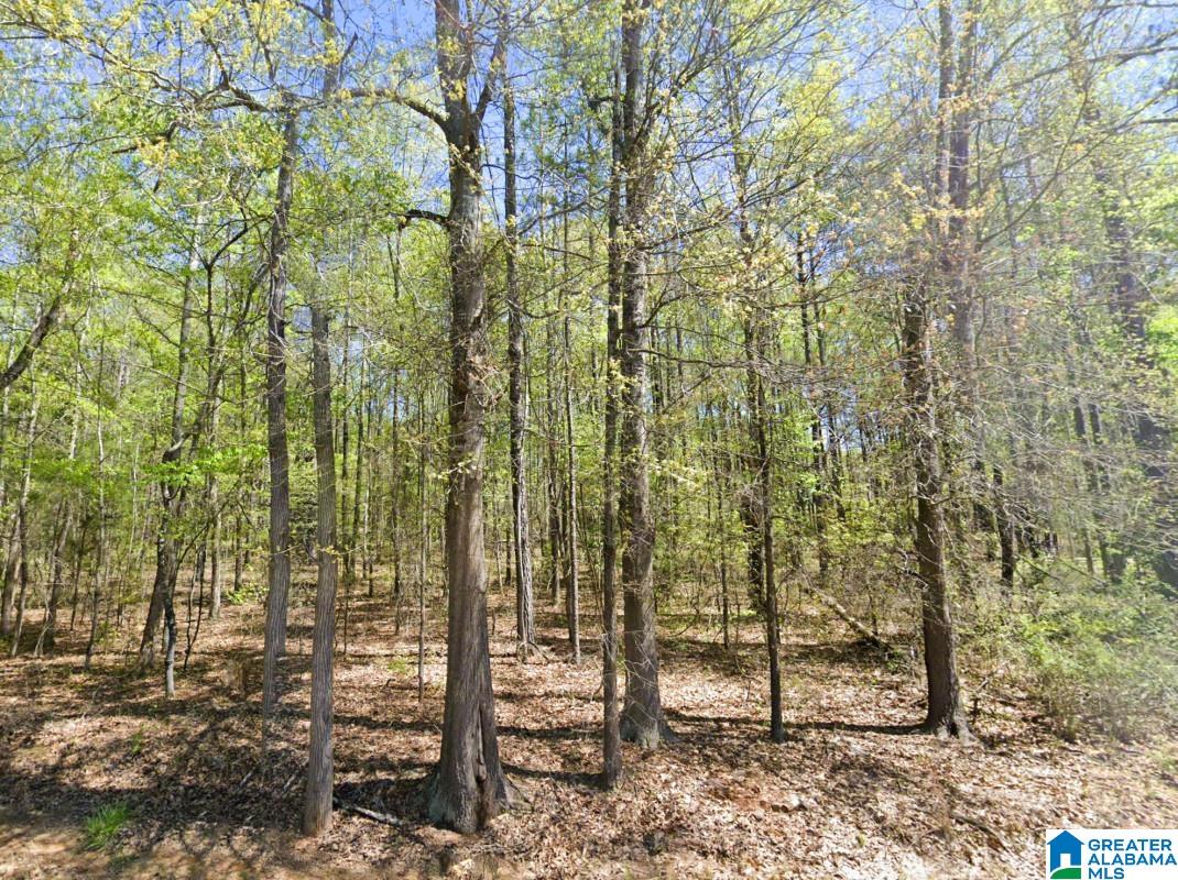 5565 RED ROBIN ROAD -