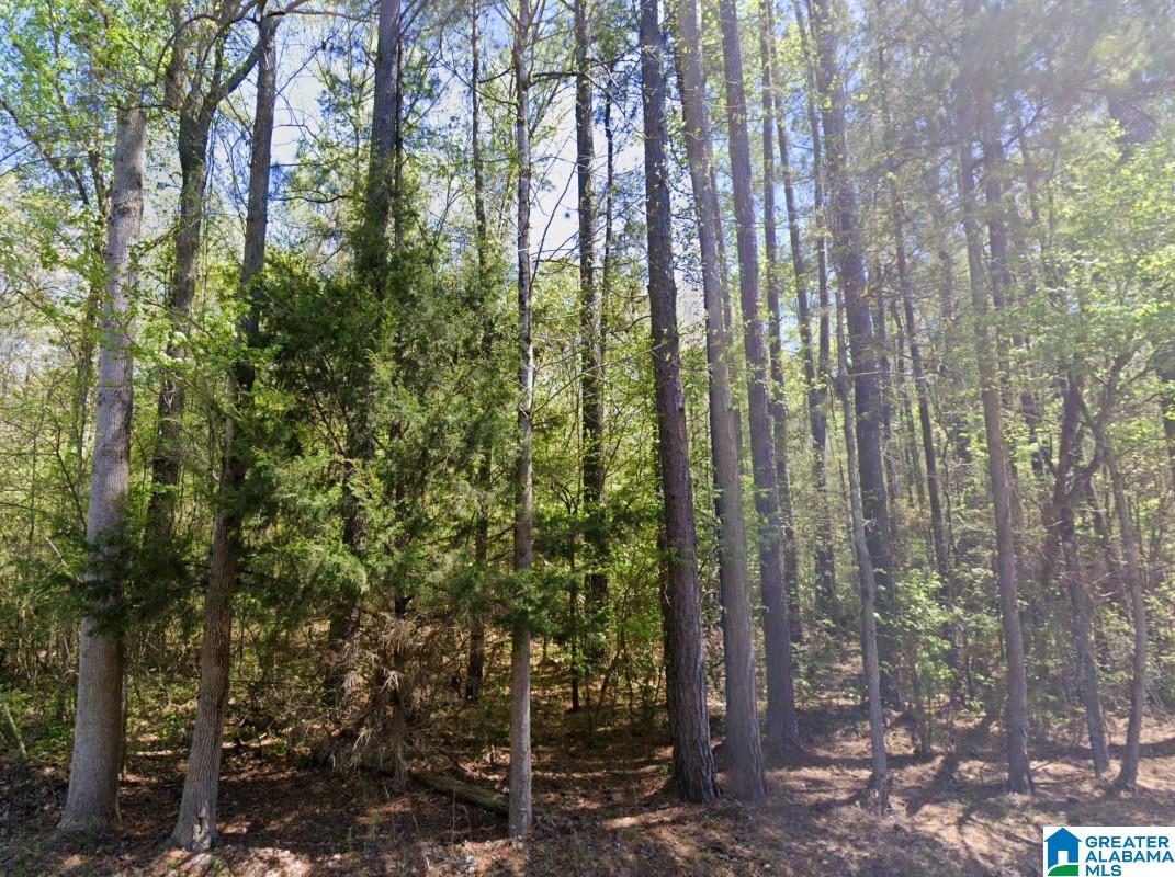 5565 RED ROBIN ROAD -