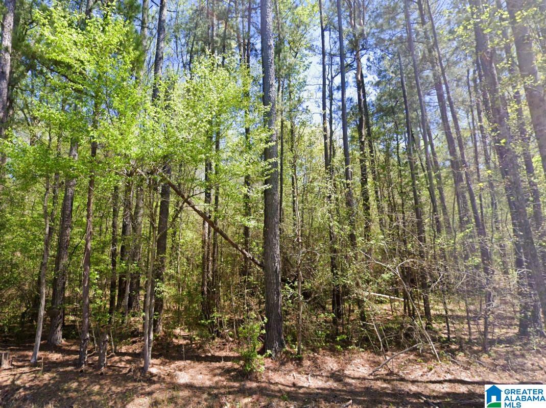 5565 RED ROBIN ROAD -