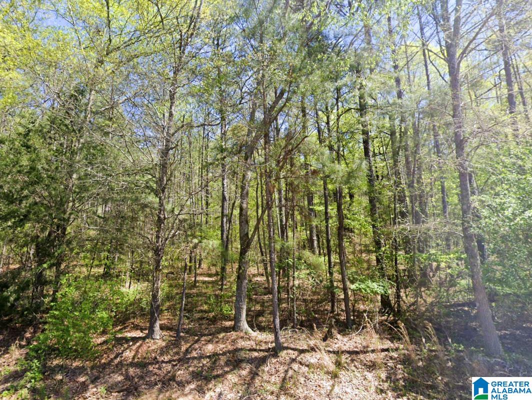 5565 RED ROBIN ROAD -