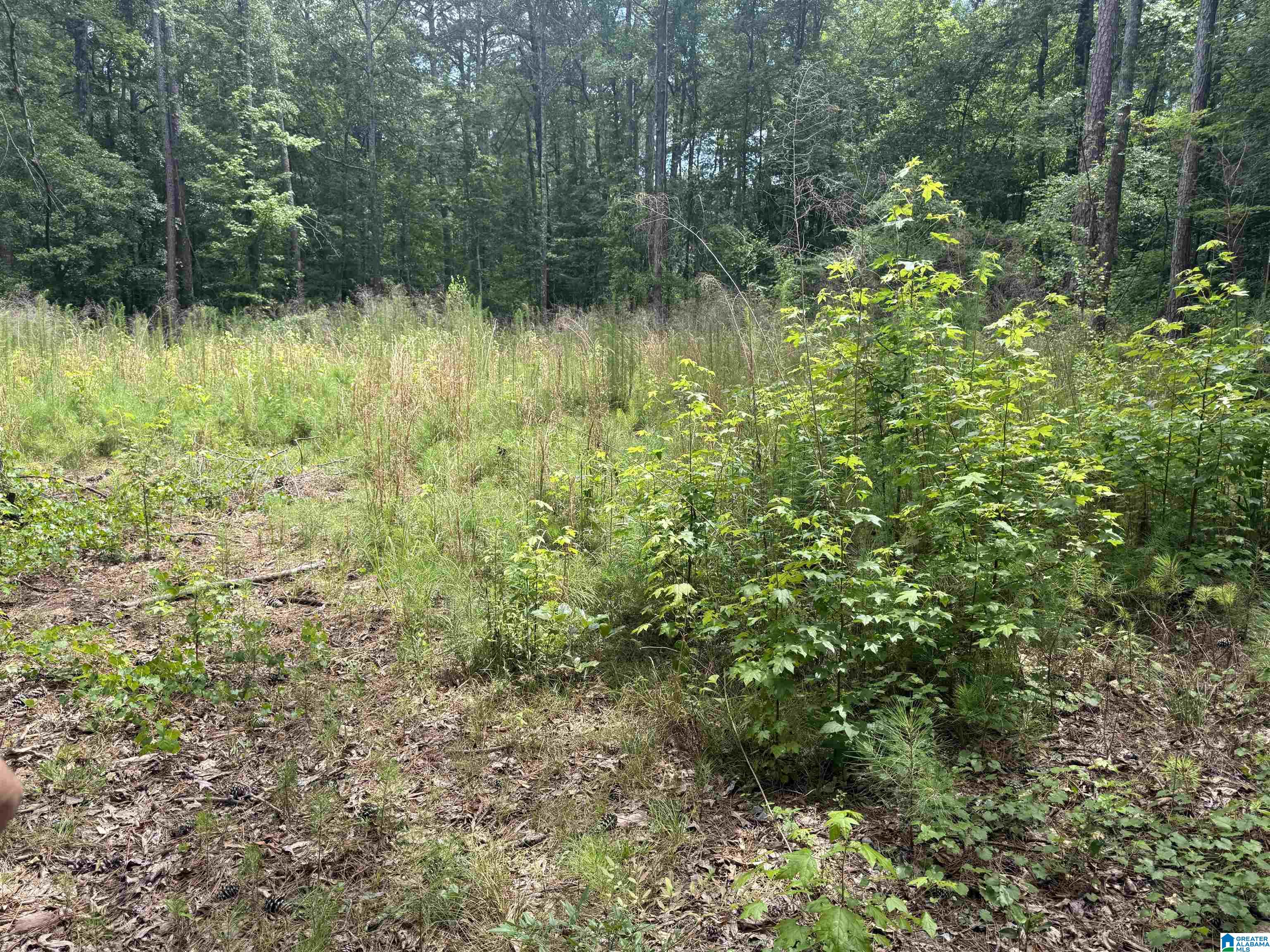 0 0 PINE GLEN ROAD 79